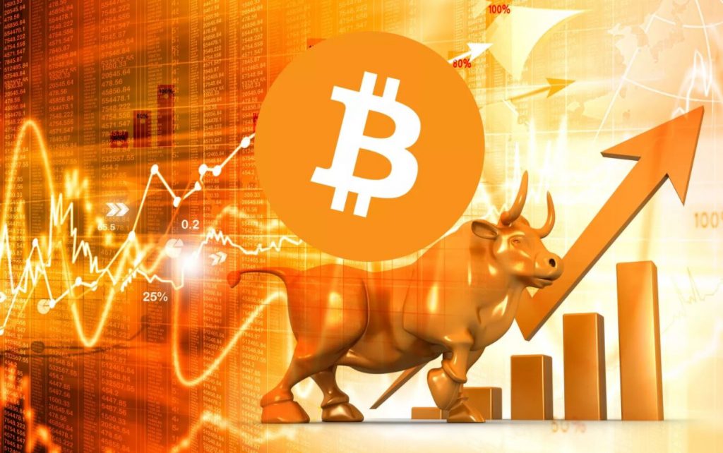 what does a bull market in crypto mean